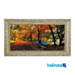 machine-woven carpet - Top view pattern and color tone