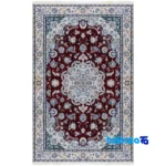 Top view of Nain Handwoven Carpet Latch and Medallion Design Red pattern color tone