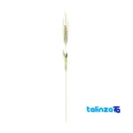 flower arrangement - Front view design and key details