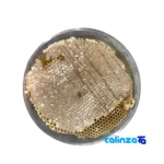 Natural Sadeh Honey - Premium Quality Dark Amber design and key details (Front view)