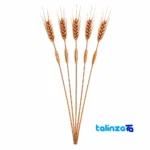 Mesi Wheat & Sunil Decorative Flowers Set of 5 design and key details (Front view)