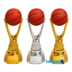 Trophy Model Set - Front view design and key details