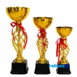 Tandis Champion Trophy Model Set - Modern Design - Front view showing and key details