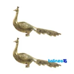 Peacock Statue - Package front product labeling and brand