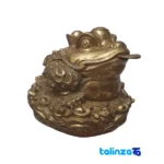 Bronze Zodiac Frog Statue Coin Design 18x18x18 cm saffron grade and packaging (Front view)