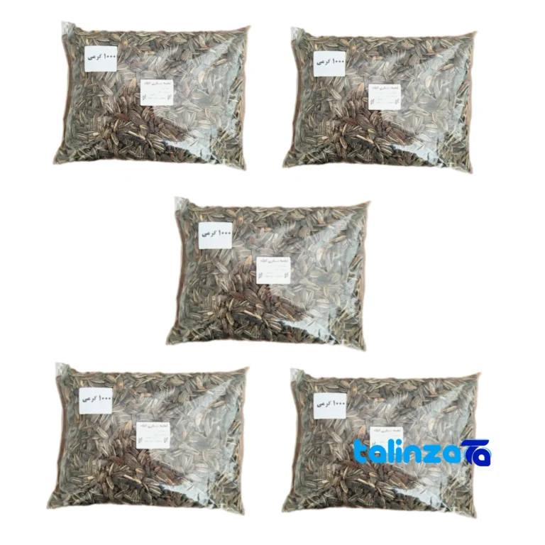 Sanghori Sunflower Seeds Salted Snack 1000 grams design and key details (Front view)