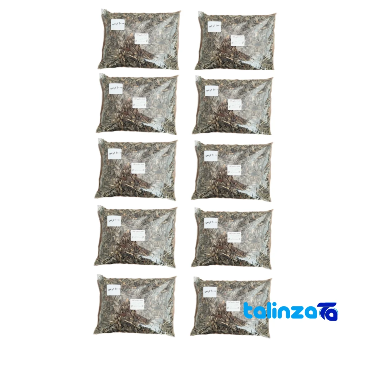 salted sunflower seeds - Front view design and key details