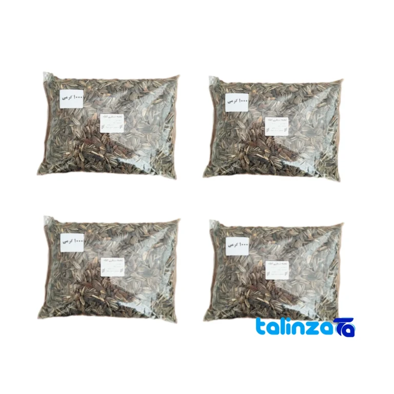 salted sunflower seeds - Front view design and key details