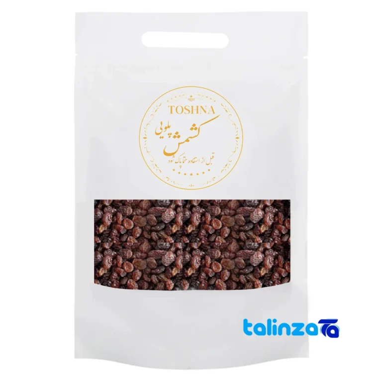 Toshna Raisins Pluie design and key details (Front view)