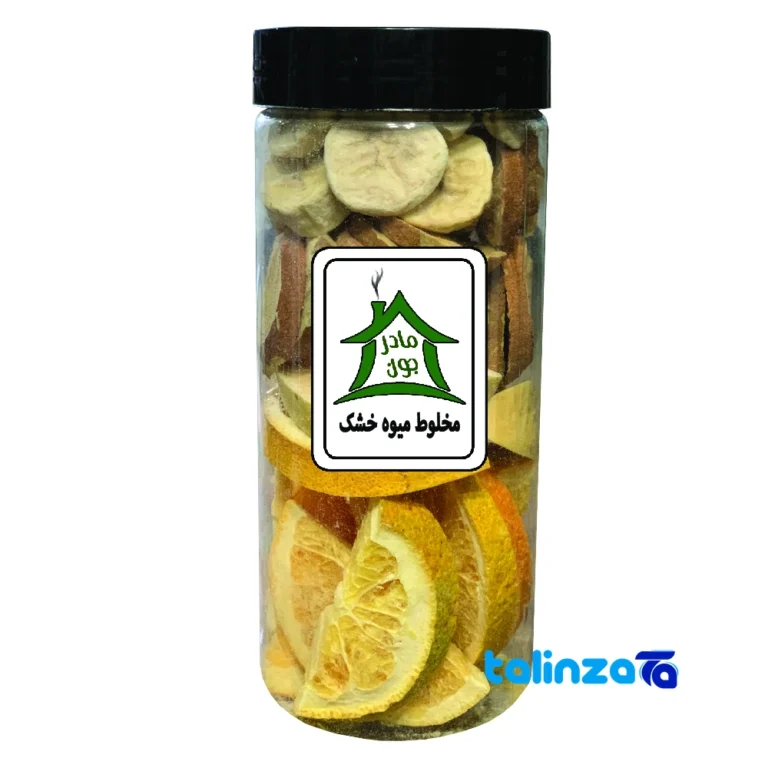 Khuneh Madarjon Dried Fruit Mix Snack design and key details (Front view)