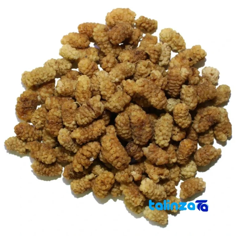 Dried Berries - Natural Sweetness 500 grams - Front view showing design and key details
