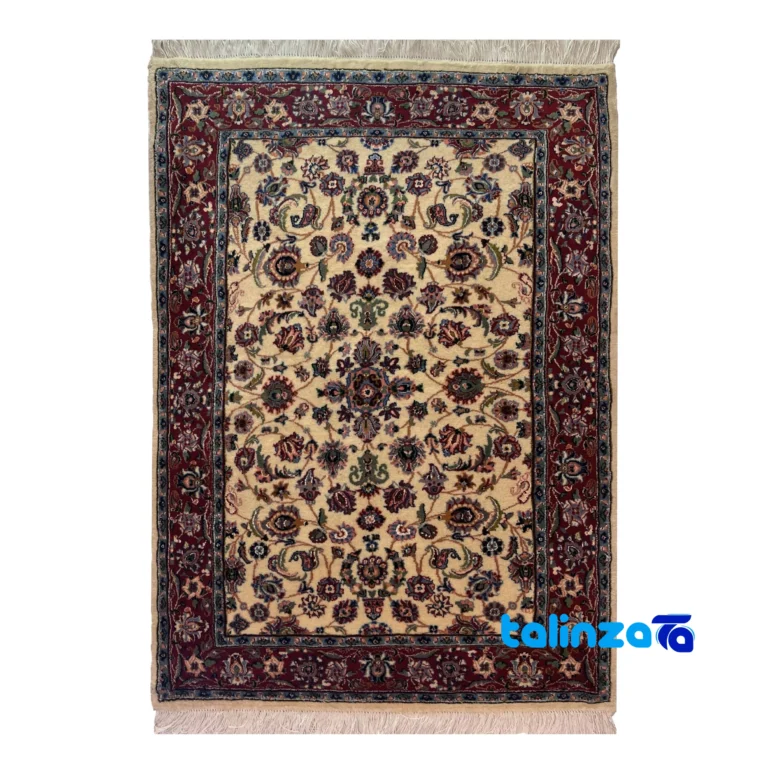 Turkmen Design Handwoven Area Rug Cream Hand washable pattern and color tone (Top view)