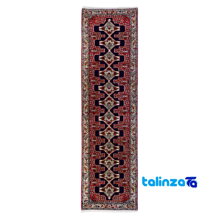 Bijar Handwoven Runner Rug - Top view pattern and color tone