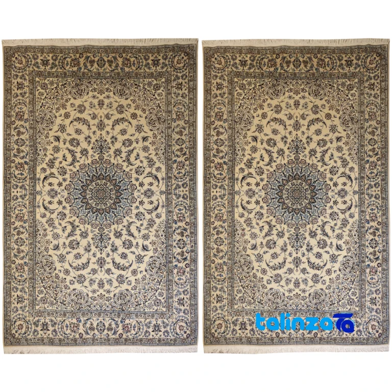 Nayin Handwoven Carpet - Top view pattern and color tone
