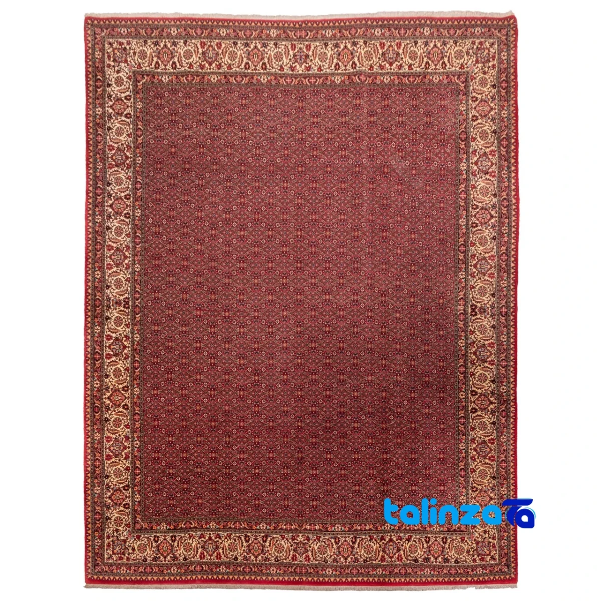 C Persia Handwoven Rug Stunning Design - Top view showing pattern and color tone