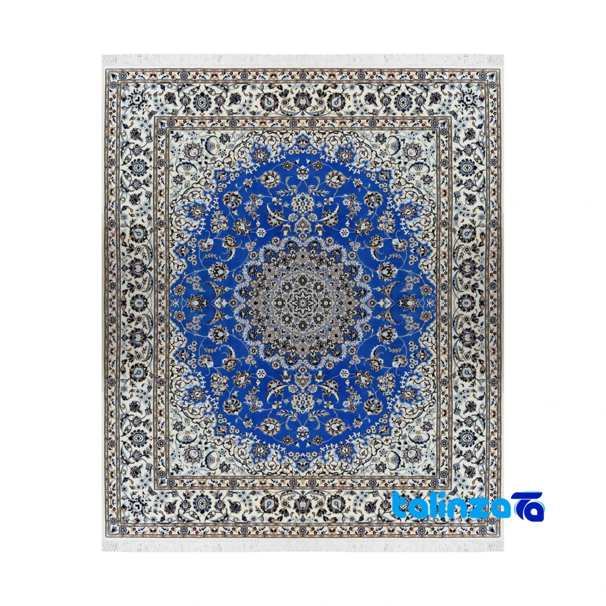 Nain Handwoven Carpet Blue Unique Design - Top view showing pattern and color tone