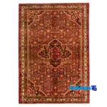 Handwoven Hamadan Area Rug Traditional Design - Full spread showing overall layout