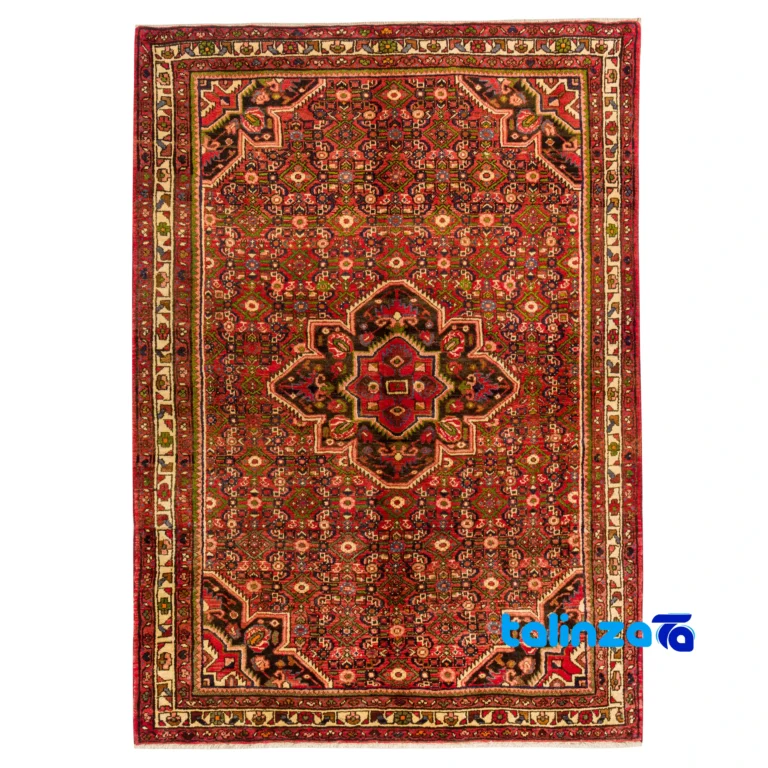 Handwoven Hamadan Area Rug Traditional Design - Full spread showing overall layout