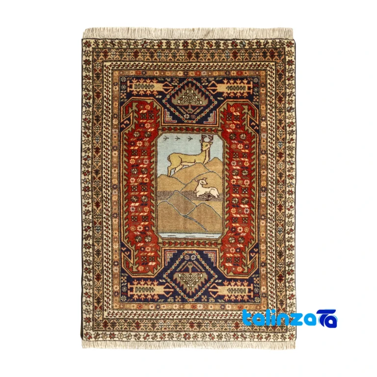 Persian Handwoven Rug - Top view pattern and color tone