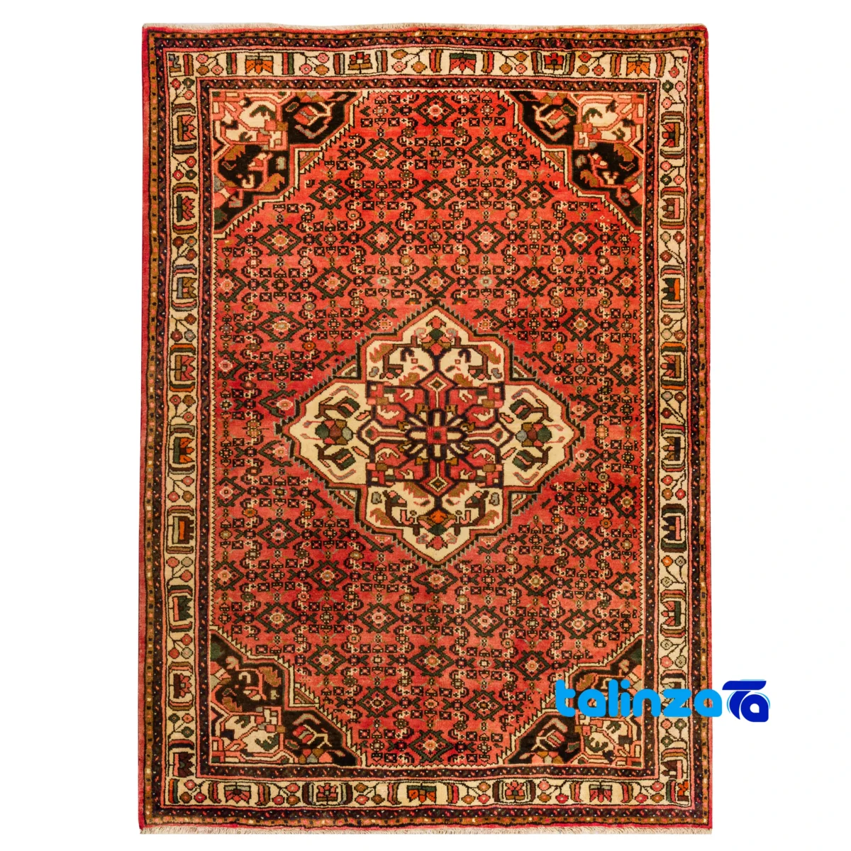 Hamadan Handwoven Carpet Elegant Design pattern and color tone (Top view)