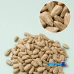 Roshtachi Raw Sunflower Seed Kernels Large Pack 600 grams - Packaging view showing label and