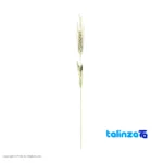 Golden Wheat Design Flower Arrangement - Packaging view showing label and