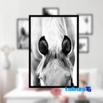 B-1108 Decorative Wall Art Set - Black and White Wall-mounted label packaging view)