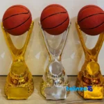 Tandis Trophy Model Set - Modern Design label and packaging view)