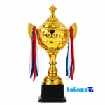 IR032 Trophy Cup Model Sculpture - Modern Design label and packaging view)