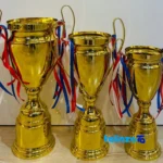 Tandis Trophy Model IR047 Set of 3 label and packaging view)