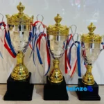 IR049 Trophy Cup Model Statue Set - Modern Design - Packaging view showing label and