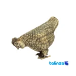 Packaging view of Bronze Decorative Chicken Figurine Charming label and