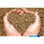 Shahdaneh Raw Hemp Seeds Premium Quality label and packaging view)