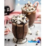 Choco Delight Hot Chocolate Mix Instant label and packaging view)