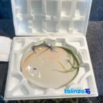 Packaging view of Franz Decorative Dragonfly Dessert Plate Dish label details and pack finish