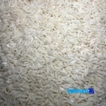 Detail view of Hashemi Rice Brand Second Crop Premium Quality grain close-up