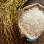 Detail view of Gilan Rice Hashemi Organic nuts close-up texture