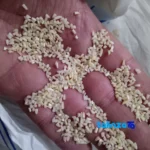 Detail view of Nesl Noorani Smoked Rice Halfgrain Grade 1 nuts close-up texture