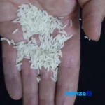 Detail view of Tarom Rice Aromatic Grade 1 nuts close-up texture