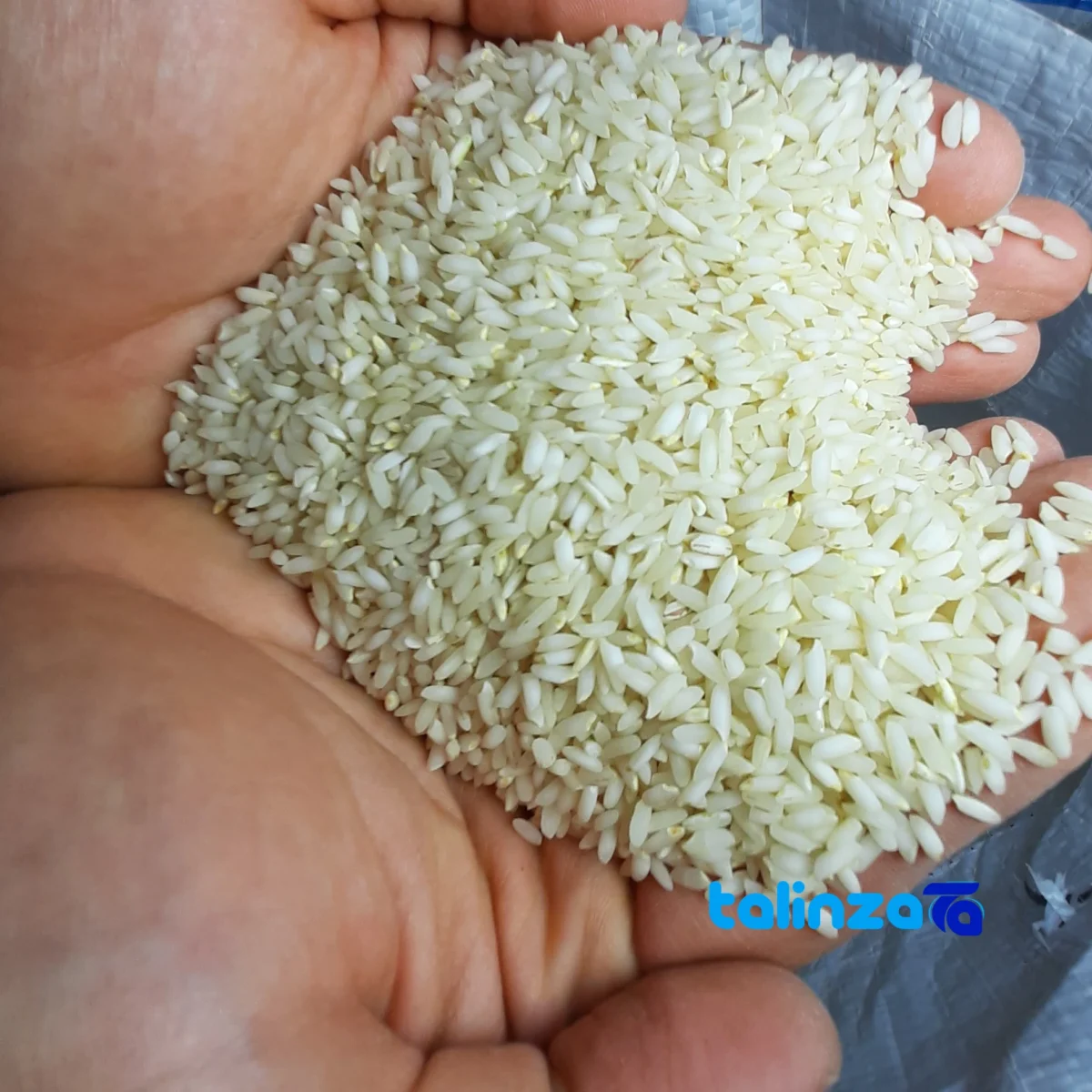 Detail view of Roozbeh Aromatic Rice Organic 10000 grams nuts close-up texture