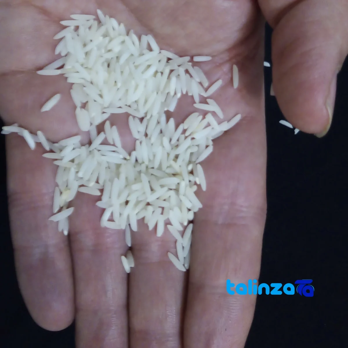 Detail view of Fajr Tarom Rice Organic Grade 1 nuts close-up texture