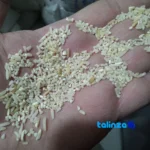 Detail view of Gilani Tarom-Hashemi Shiroudi Rice Smoked grain close-up