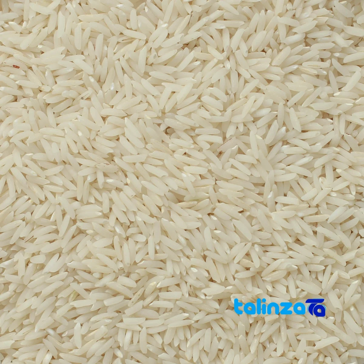Detail view of Gilan Hashemi Rice Organic Grade 1 grain close-up