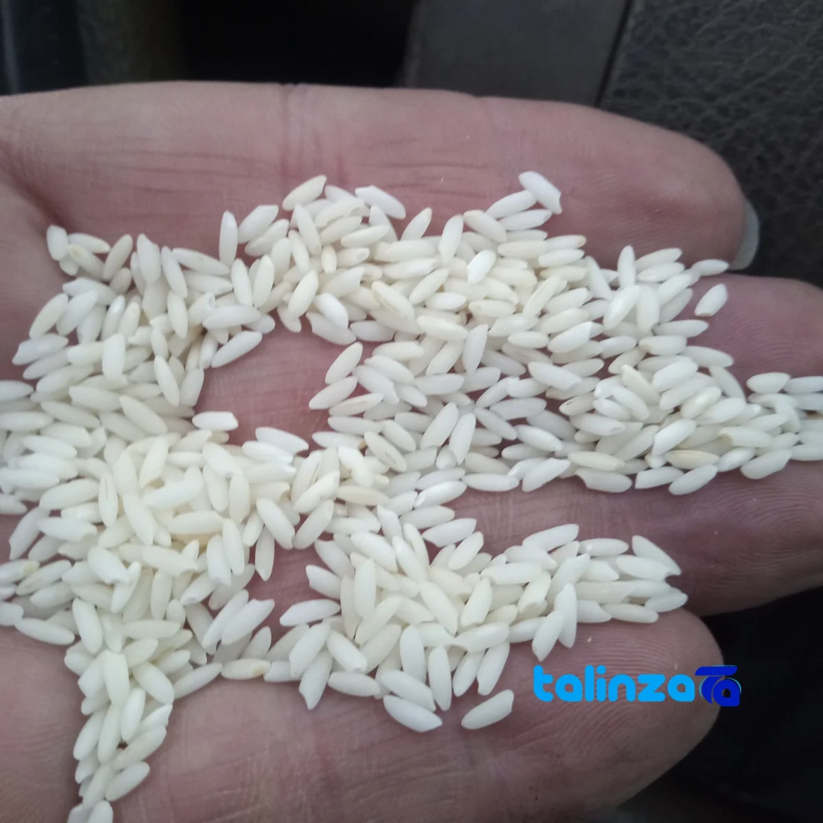 Detail view of Lenjan Short-Grain Rice First-Crop Grade 1 grain close-up