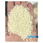 Detail view of Ayani Rice SecondHarvest Excellent nuts close-up texture