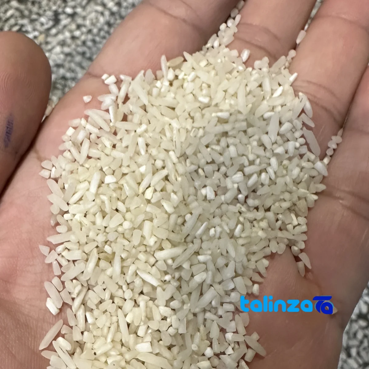 Detail view of Zarrin Tabarestan Shiroudi Half-Grain Rice Grade 1 nuts close-up texture