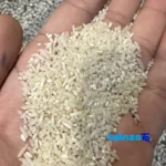 Detail view of Zarrin Tabarestan Shiroudi Half-Grain Rice Grade 1 nuts close-up texture