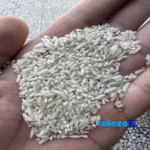 Detail view of ZarrinKhoshe Tabarestan Broken Rice HighYield Fajr grain close-up