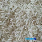 Detail view of Tarem Hashemi Rice Organic Uniform grain close-up