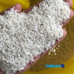 Detail view of Shiroudi Rice Organic White Grade 1 grain close-up